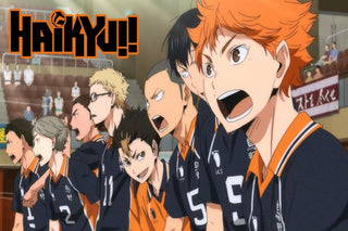 Haikyuu!! Karasuno Volleyball Team