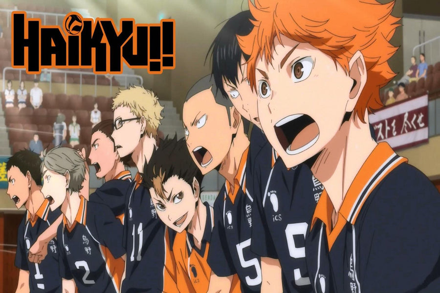 Haikyuu!! Karasuno Volleyball Team