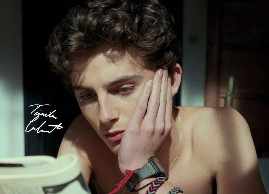 Timothée Chalamet Aesthetic Movie Poster