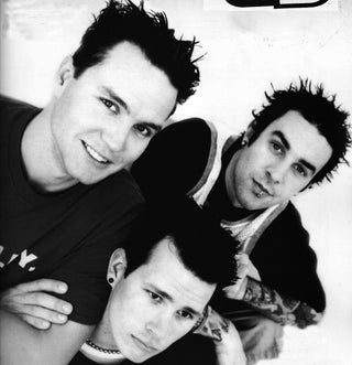 Blink-182 Band Portrait