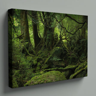Ancient Mossy Forest Landscape