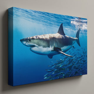 Majestic Great White Shark