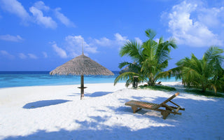 Tropical Paradise Beach View