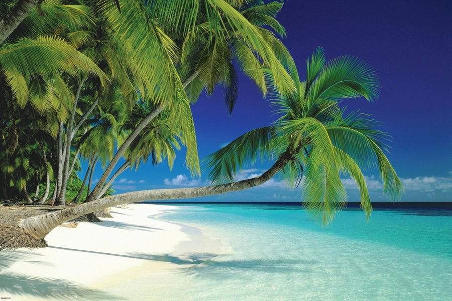 Tropical Paradise Beach Scene