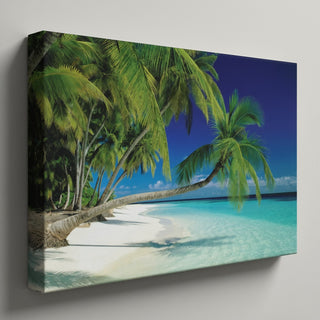 Tropical Paradise Beach Scene