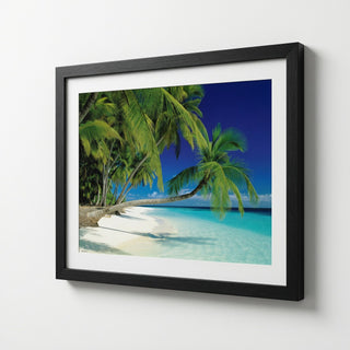 Tropical Paradise Beach Scene