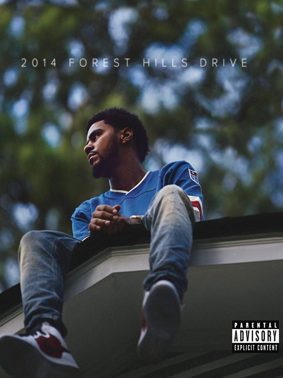 2014 Forest Hills Drive Poster - Paper/Glossy/Canvas