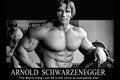 Arnold Schwarzenegger Motivational Gym Poster - Paper/Glossy/Canvas